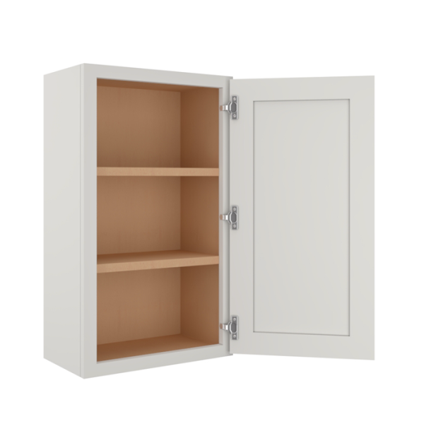 Wall Single Door Cabinet - 21"W x 42"H